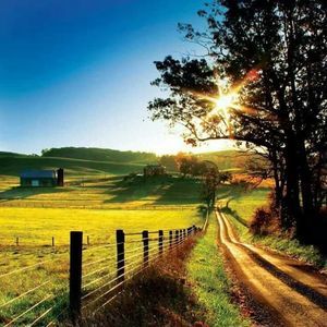 Meet your Posher, Mindy